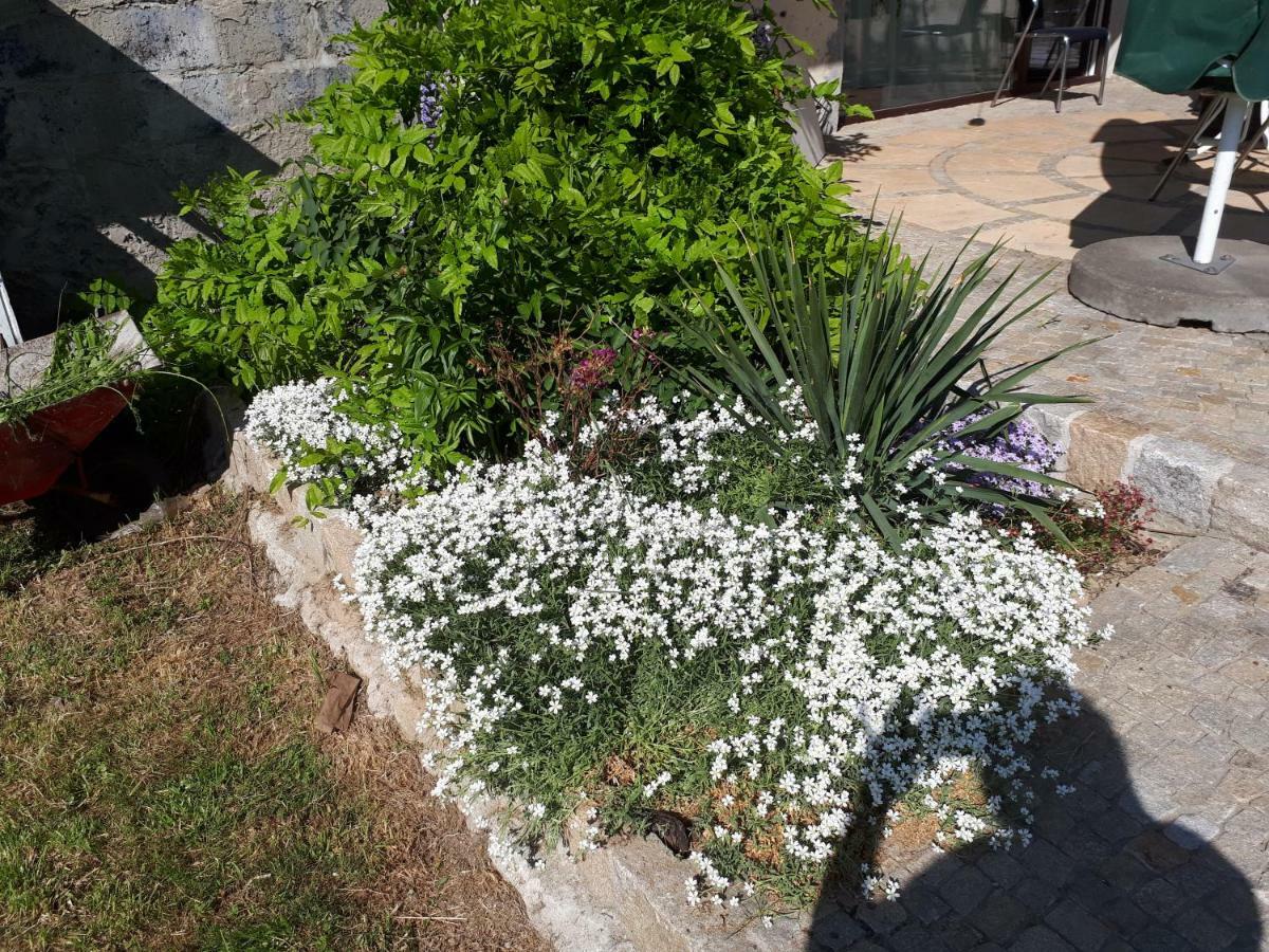 Agroturystyka "Jagap" Oaza Spokoju Dzierżoniów Exterior foto