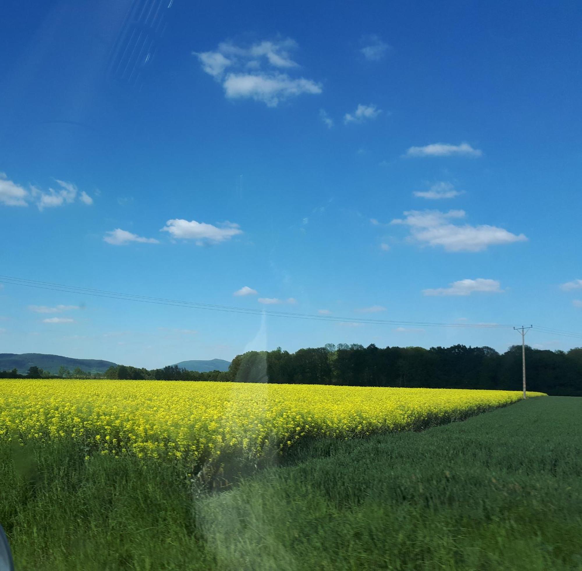 Agroturystyka "Jagap" Oaza Spokoju Dzierżoniów Exterior foto